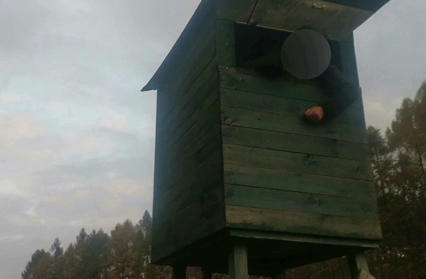 Myśliwy na ambonie w Dąbrowie Górniczej-Trzebiesławicach...