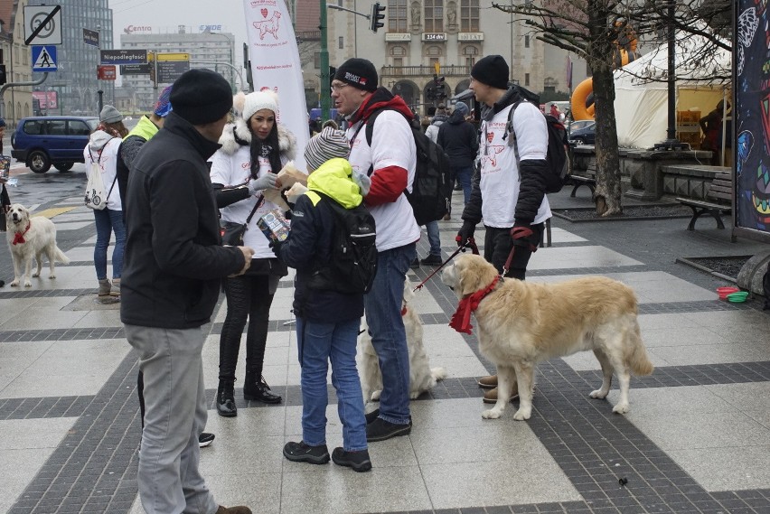 Grupa Golden Retriever WOŚP to już stały element poznańskich...