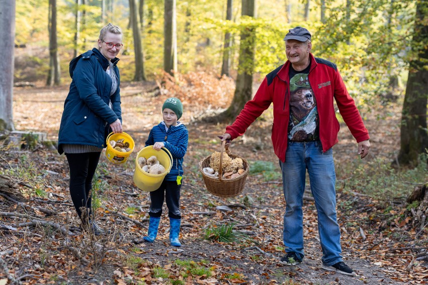 Akcja zbierania grzybów w Krajeńskim Parku Krajobrazowym