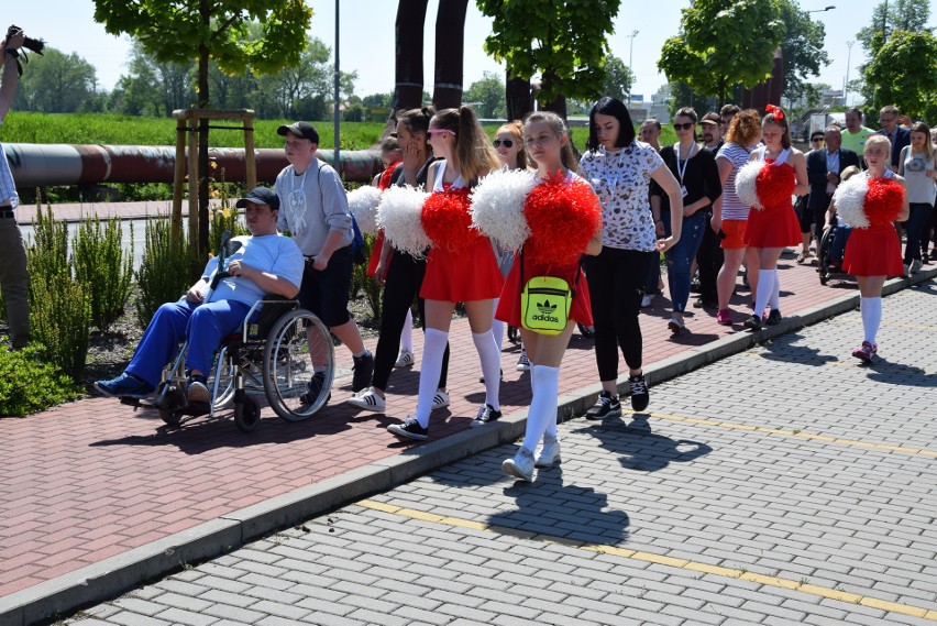 Częstochowski Mount Everest zdobyło ponad sto osób [ZDJĘCIA]