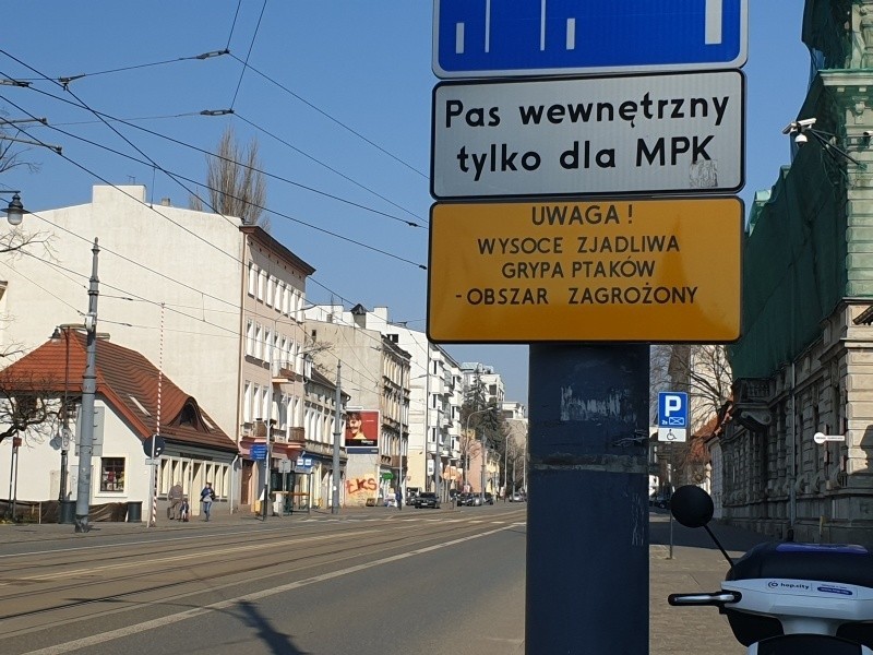 Żółte tablice w Łodzi ostrzegają przed ptasią grypą. Jakby mało było koronawirusa...