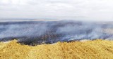 Wielki pożar pola zboża pod Słupskiem (zdjęcia)