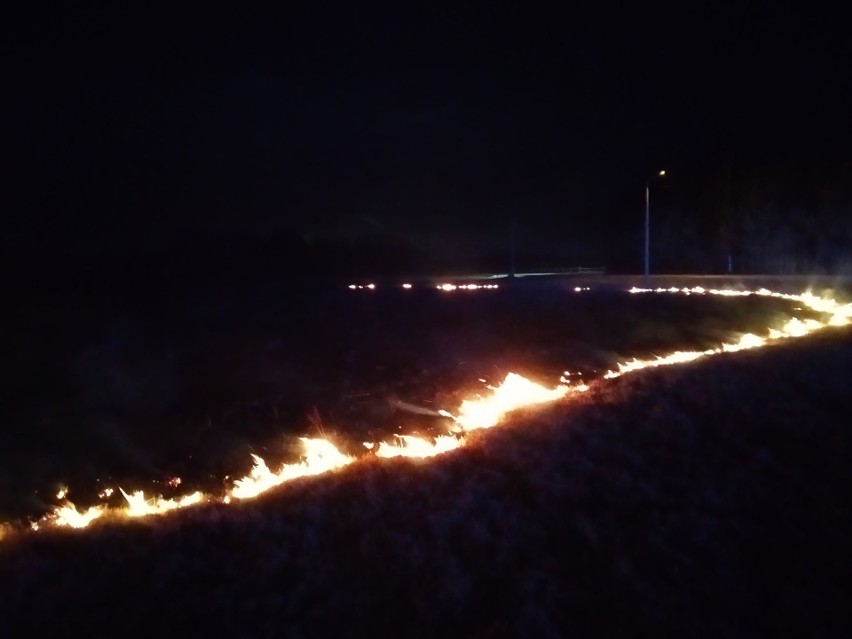 Choć jest kalendarzowa zima, wiosenna pogoda panująca w...