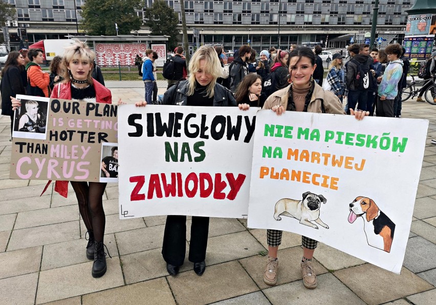 Kraków. Młodzieżowy Strajk Klimatyczny pod Muzeum Narodowym. "Apelujemy o traktowanie obecnego kryzysu poważnie"