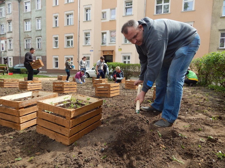 To pierwszy taki ogród w Lubuskiem! Zrobili go sąsiedzi z Zakanala w Gorzowie [ZDJĘCIA]