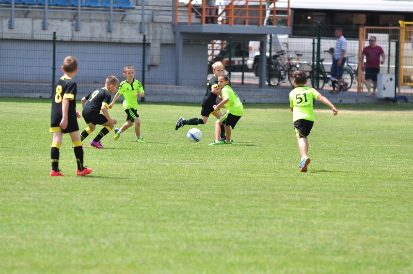 Siarka Cup 2015 w Tarnobrzegu