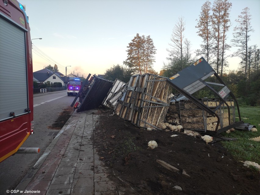 Janów. Ciężarówka z kurczakami wywróciła się w rowie....