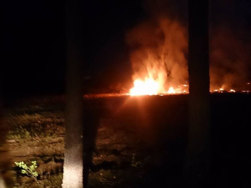 6 czerwca OSP Chorzele  gasiło pożar lasu we Wsi Dąbrówka.