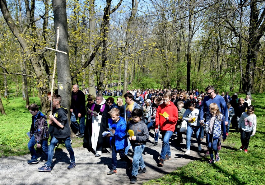 Około tysiąca wiernych na drodze krzyżowej w parku dzikowskim [ZDJĘCIA]