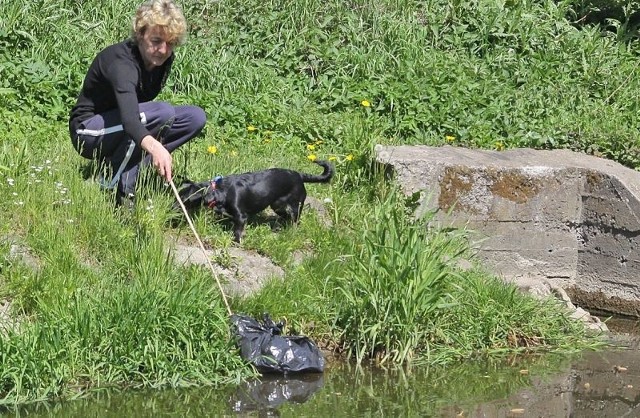 Elżbieta Aleksandrowicz w tym miejscu kanału Trynki wyłowiła czarny worek z trzema kilkudniowymi kotkami. W środku plasikowej torebki była też butelka po wódce