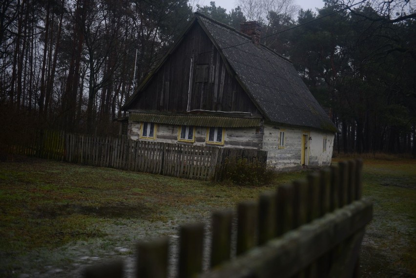 Ta specjalizacja jest w pewnym sensie dziedziczna, z matki...