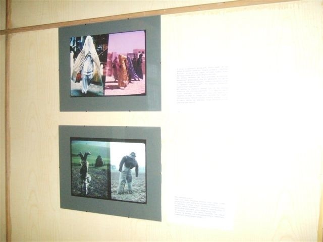 Wystawa Hasiora w Ostrowcu