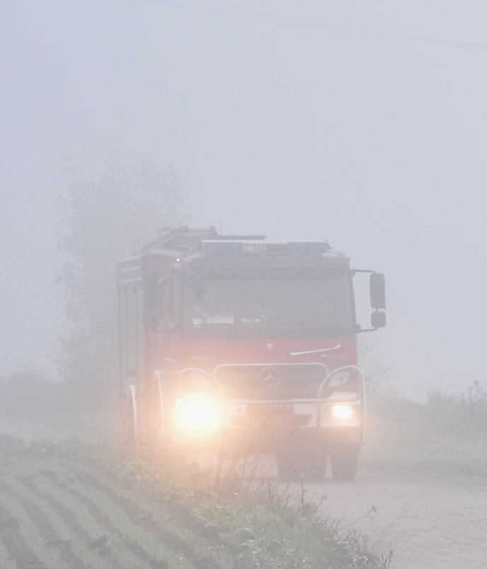 Skażenie wody jako akt sabotażu, a do tego śnięte ryby i padły dzik - ćwiczenia służb i inspekcji w Ząbrowie w gm. Stare Pole