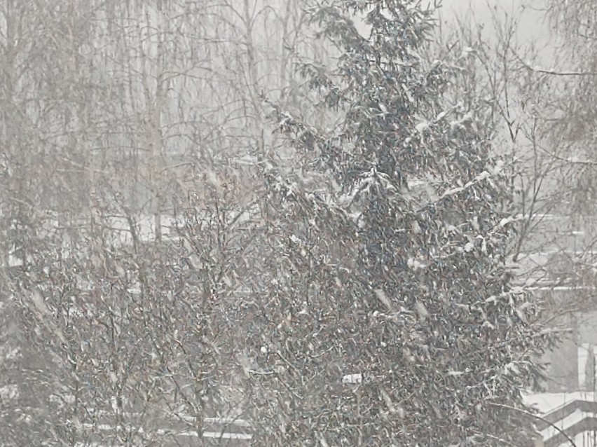 Intensywne opady śniegu w całym województwie świętokrzyskim. Drogi białe i śliskie! Oto raport na bieżąco