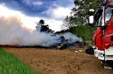 Pożar sterty słomy przy lesie w Słowinie. Z żywiołem walczyli strażacy OSP Dobiegniew. Na miejsce rozdysponowano pięć wozów straży