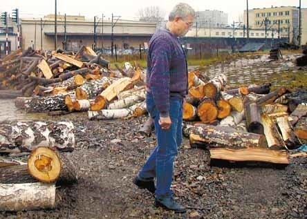 Właściciele domków najchętniej kupują drewno bukowe i brzozowe.