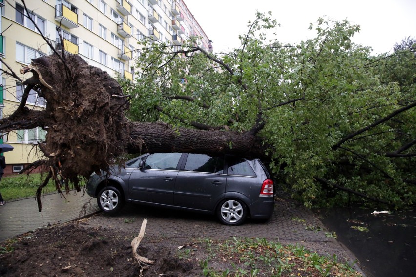 Pogodowy armagedon w Lublinie i okolicach. Strażacy cały czas pracują, aby drogi były przejezdne. Zobacz