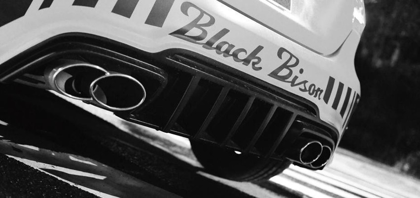 Mercedes-Benz Klasy A Black Bison / Fot. Wald International