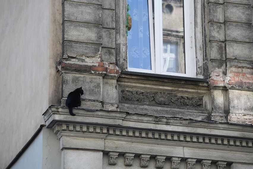 Mieszkańcy kilkudziesięciu lokali komunalnych w tym roku...