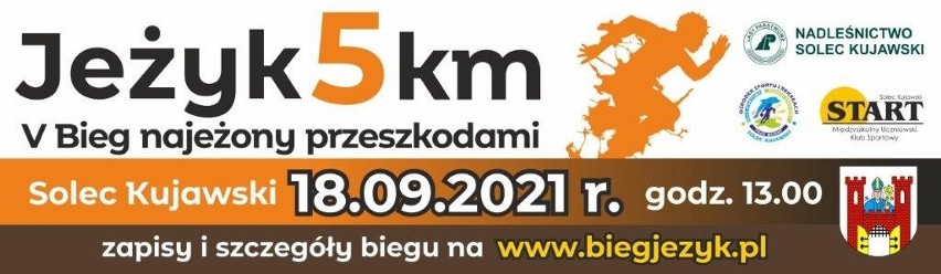 Festiwal Biegowy w Bydgoszczy, Nocna Dycha w Toruniu i Jeżyk w Solcu