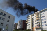 Gdańsk: Pożar dachu budynku przy ul. Cieszyńskiego na Chełmie