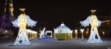 Świąteczne iluminacje na Rynku Wielkim w Zamościu. Starówka Padwy Północy lśni i oczarowuje mieszkańców. Mamy wideo