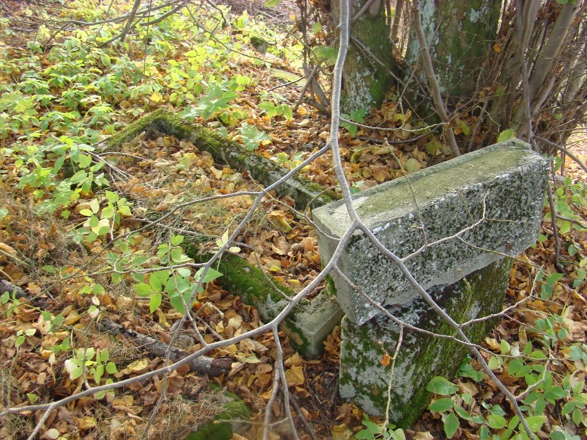 Zapomniane cmentarze ewangelickie na Pomorzu. Rozkradzione groby zbiorowej niepamięci [ZDJĘCIA]