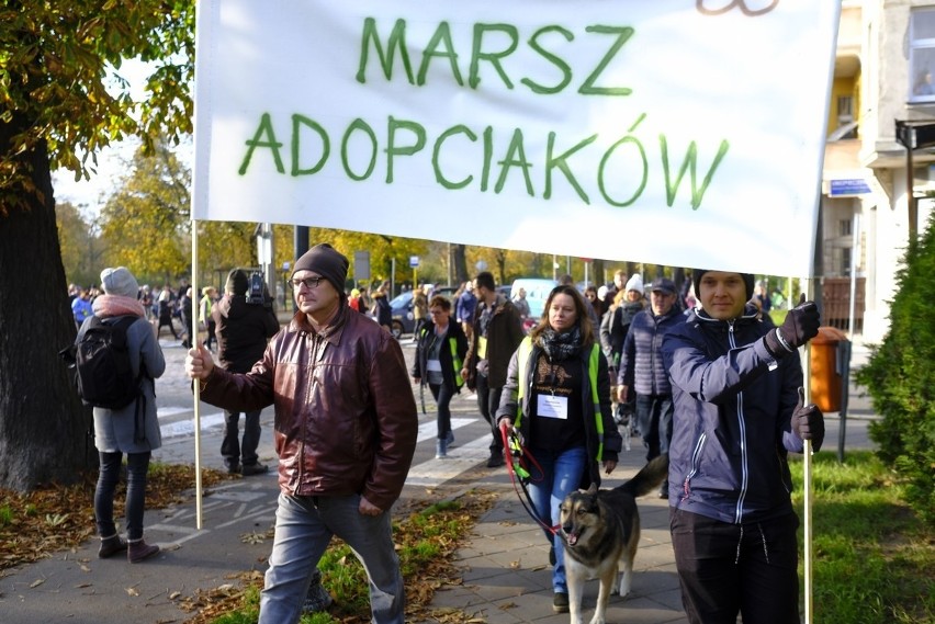 W Toruniu odbył się I Toruński Marsz Adopciaków. W imprezie...