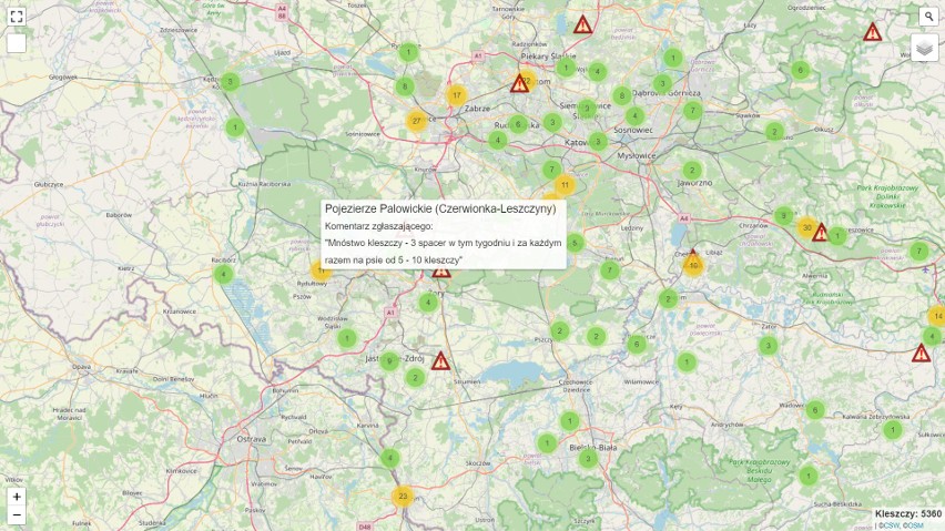 Mapa Kleszczy 2023 - gdzie jest ich najwięcej w województwie śląskim? Sprawdźcie