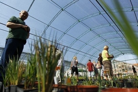 Majówka w Ogrodzie Botanicznym