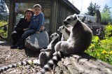 Opole (nie)przyjazne rodzinie. Drożeją bilety do zoo