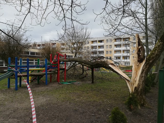 Trwa liczenie i usuwanie strat po kolejnej wichurze. Dotknęły one m.in. Przedszkole nr 8 w Koszalinie.W weekend na przedszkolnym placu zabaw przy ul. Bałtyckiej wiatr dosłownie rozpołowił drzewo. Upadający konar uderzył w drewnianą konstrukcję placu zabaw, niszcząc część elementów. Teren został odgrodzony taśmą.   Zobacz także: Koszalin: Pożar w halach przy ulicy Lnianej w Koszalinie