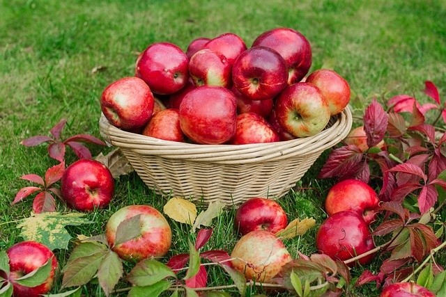 28 września  obchodzony jest Światowy Dzień Jabłka, jednego...