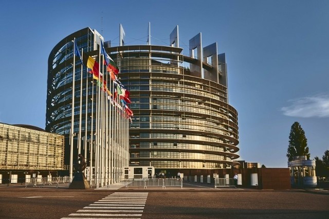Z Polski do Parlamentu Europejskiego wybranych zostanie 53 posłów.