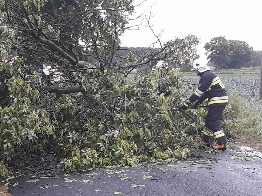 Strażacy mieli w ostatnich dniach bardzo dużo pracy....