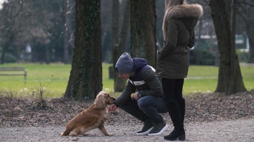 Trafienie Damiana Kądziora z rzutu wolnego rozstrzygnęło...