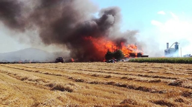 Pożar wybuchł 5 sierpnia 2017 r. Straty oszacowano na 2 miliony złotych.