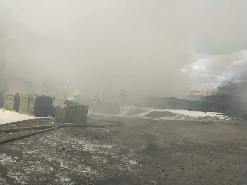 Wielki pożar w gminie Warka – zapaliły się palety w gospodarstwie. Z dymem poszło prawie dwa tysiące skrzyniopalet. Zobaczcie zdjęcia