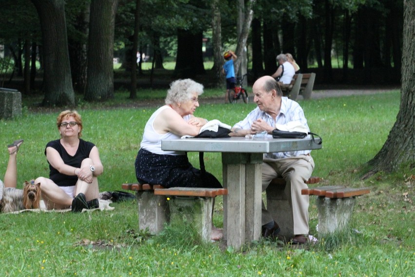 Tak dziś wygląda park Zielona w Dąbrowie Górniczej