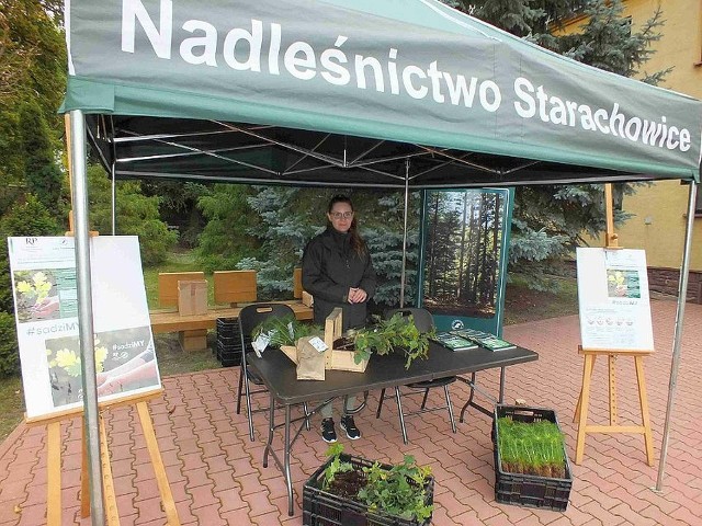 Tak wyglądało rozdawanie sadzonek w ubiegłym roku