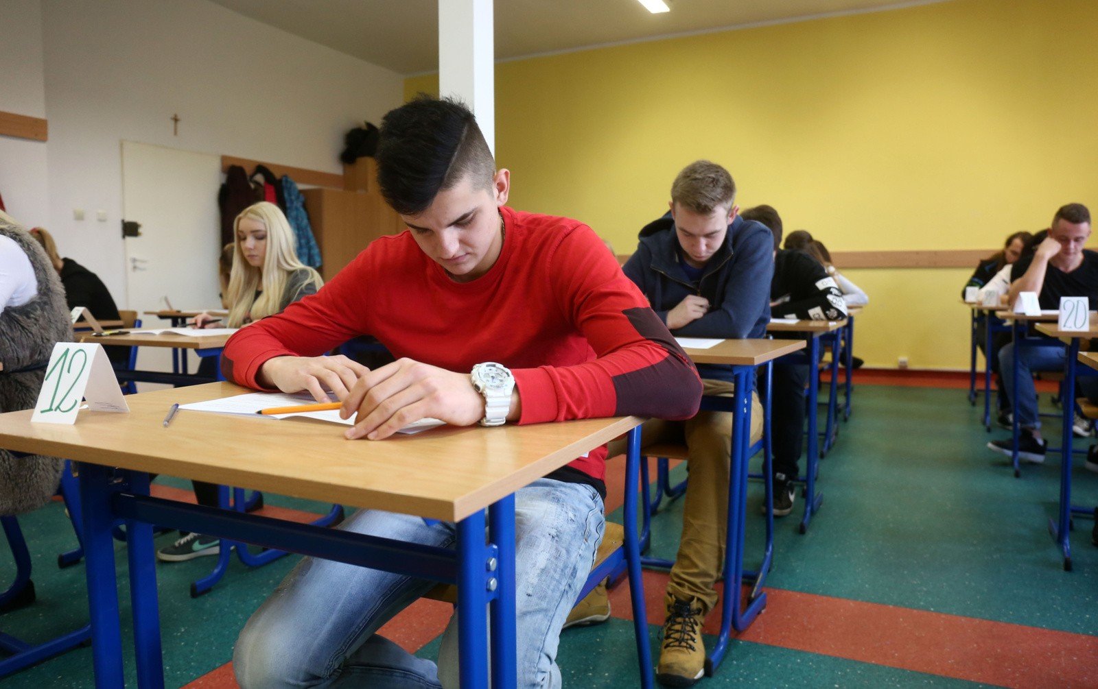 Matura Próbna Biologia Nowa Era 2018