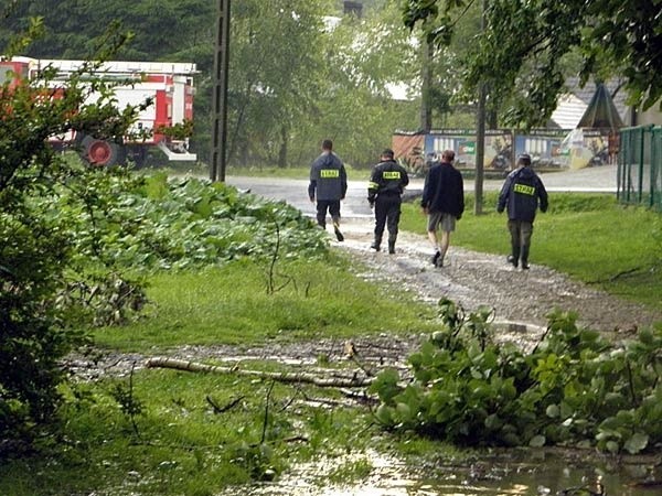 Wichura w Lączkach Kucharskich...