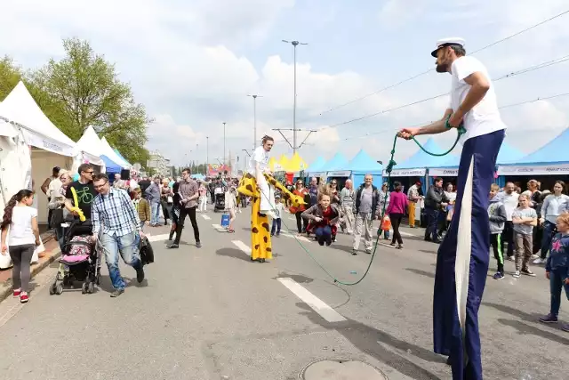 Piknik nad Odrą w Szczecinie