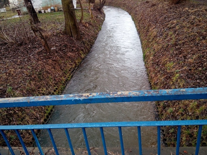 Kraków. Rzeka Dłubnia zanieczyszczona olejem silnikowym. Musiał interweniować WIOŚ