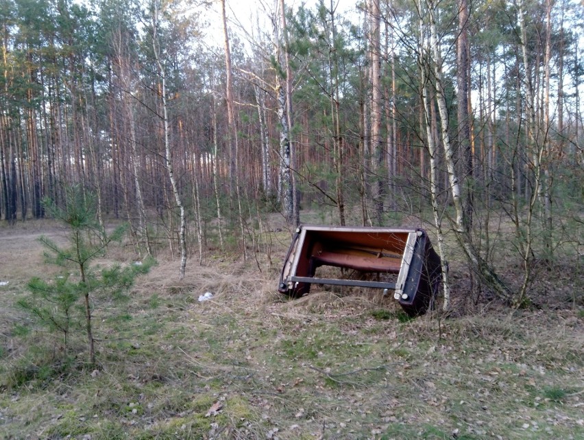 Powiat przasnyski. Śmieci zalewają nasze lasy, 21.03.2020