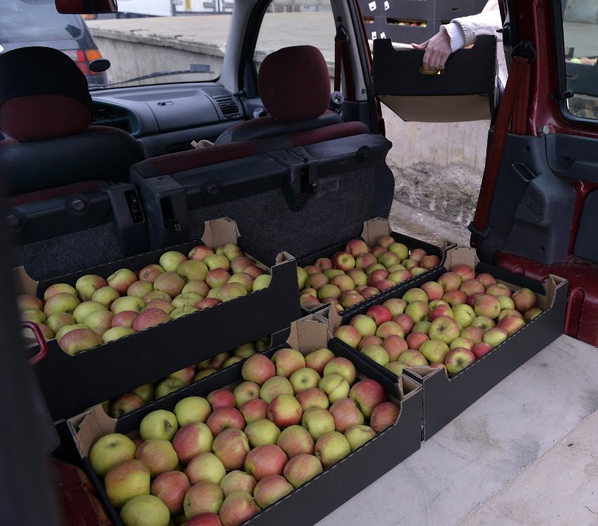 Caritas bierze jabłka wysyłane do Rosji
