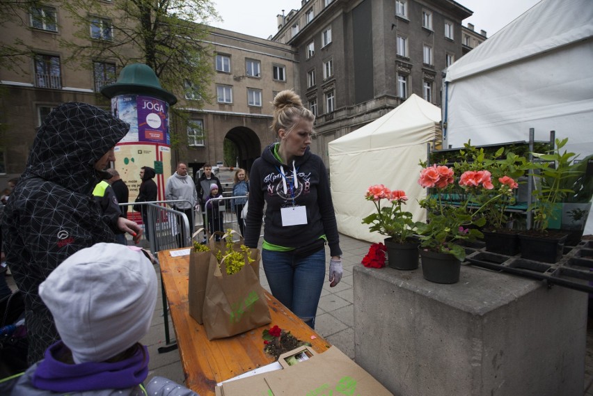 Kraków. Dni Ziemi w Nowej Hucie - wspólne sadzenie lip i warsztaty edukacyjne