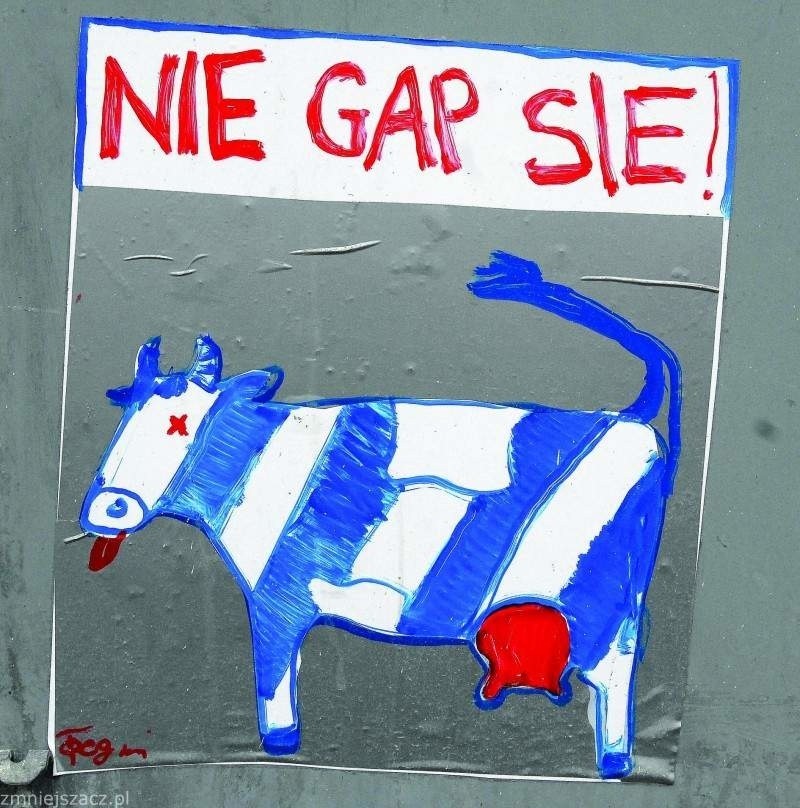Jedna z prac Pastucha - rzeszowskiego twórcy street artu.