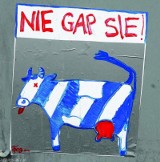 Street art w Rzeszowie. Krowy na ulicach miasta