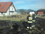 Nowy Sącz. Przez pożar suchej trawy mógł spłonąć dom [ZDJĘCIA]